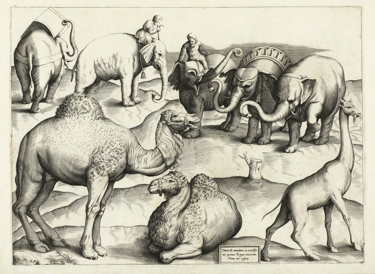Dyremalerier fra det antikke Rom, Tabel, 3., pub. Antonio Lafrere 1528 af Italian School