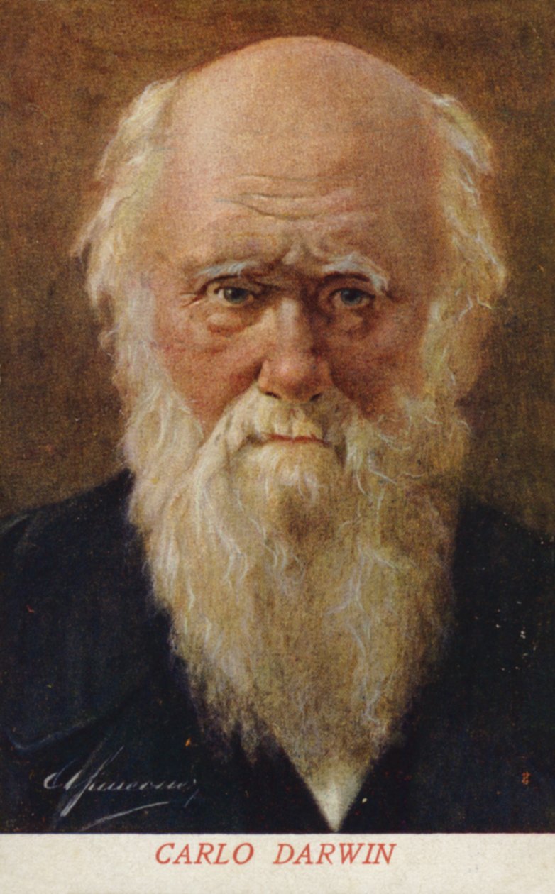 Charles Darwin (1809-1882), engelsk naturforsker (farvelitografi) af Italian School