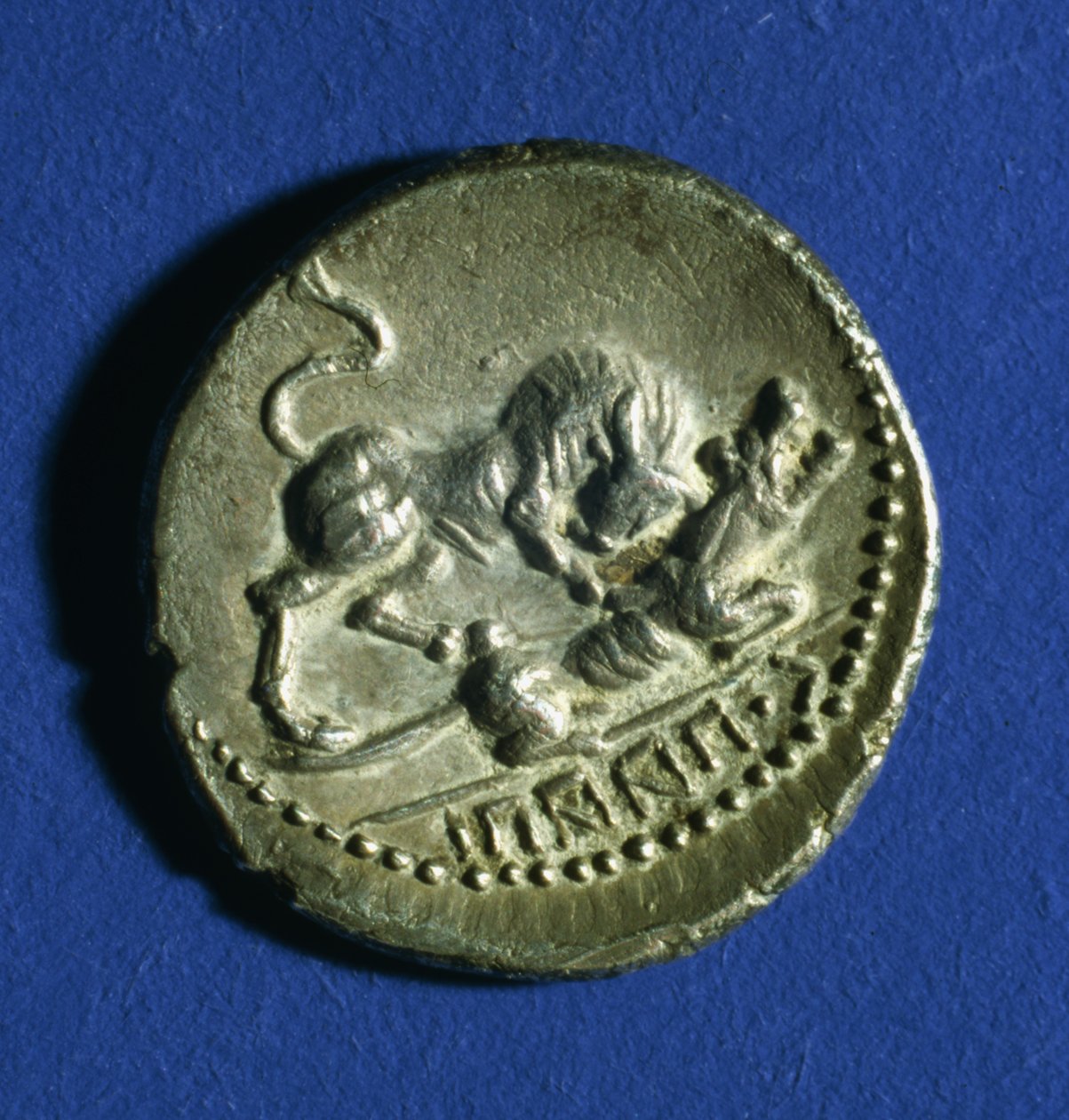 Mønt af de kursive stammer, der viser en tyr, der angriber den romerske hun-ulv, 89-90 f.Kr. (sølv) af Italian School