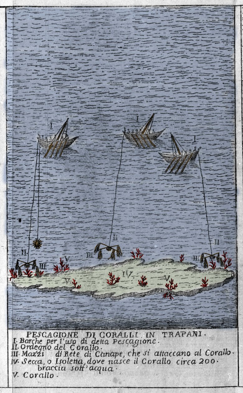 Koralfiskeri i Trapani-bugten på Sicilien, en repræsentation af små undersøiske øer, hvor der dannes koraltønder. Gravering fra "" Stato Presente della Sicilia"" af Arcangelo Leanti, Palermo 1761 af Italian School