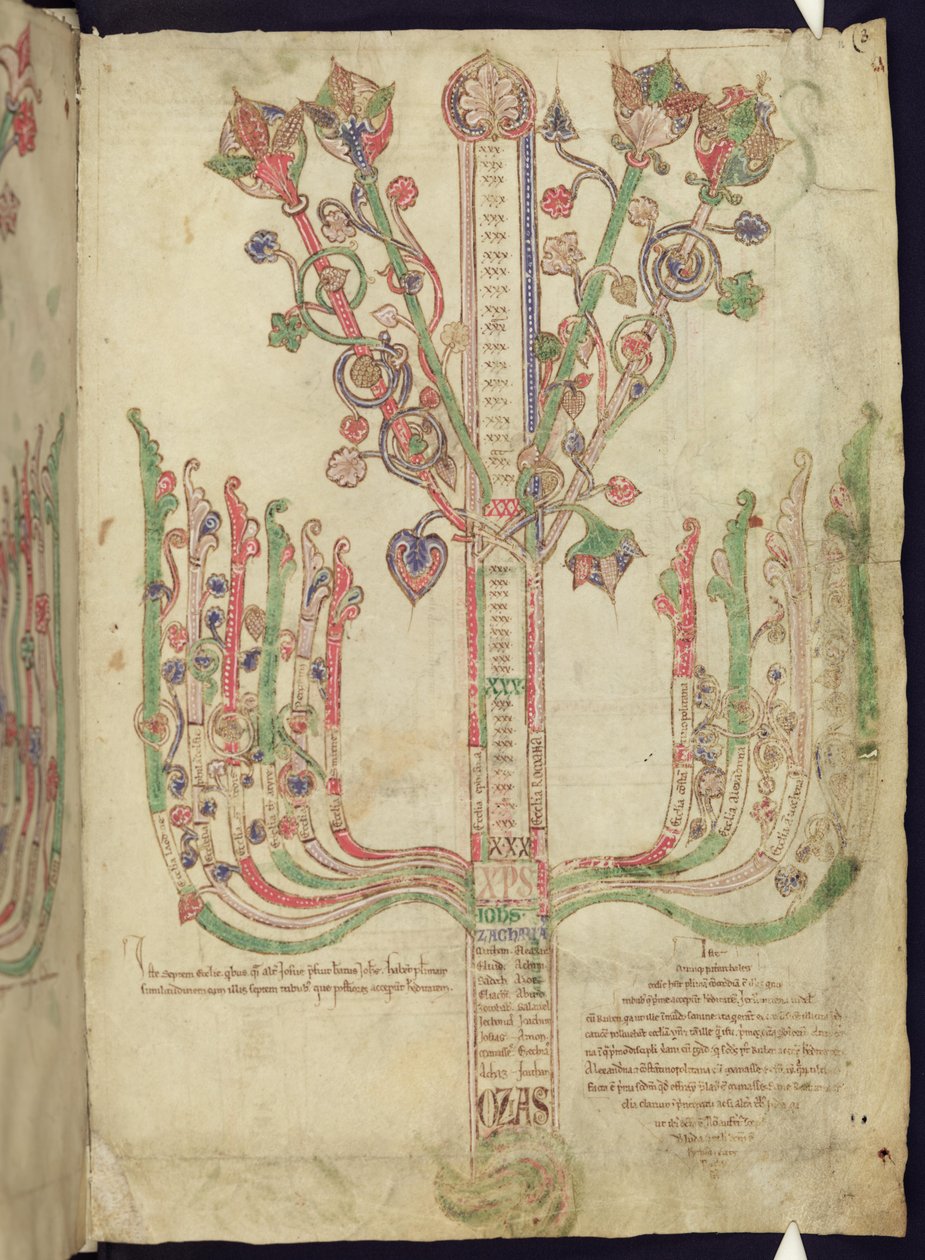 Corpus Christi Oxford MS 255A f.11r Træ, der afbilder slægtsforskning af bibelske personer i Det Nye Testamente af Italian School