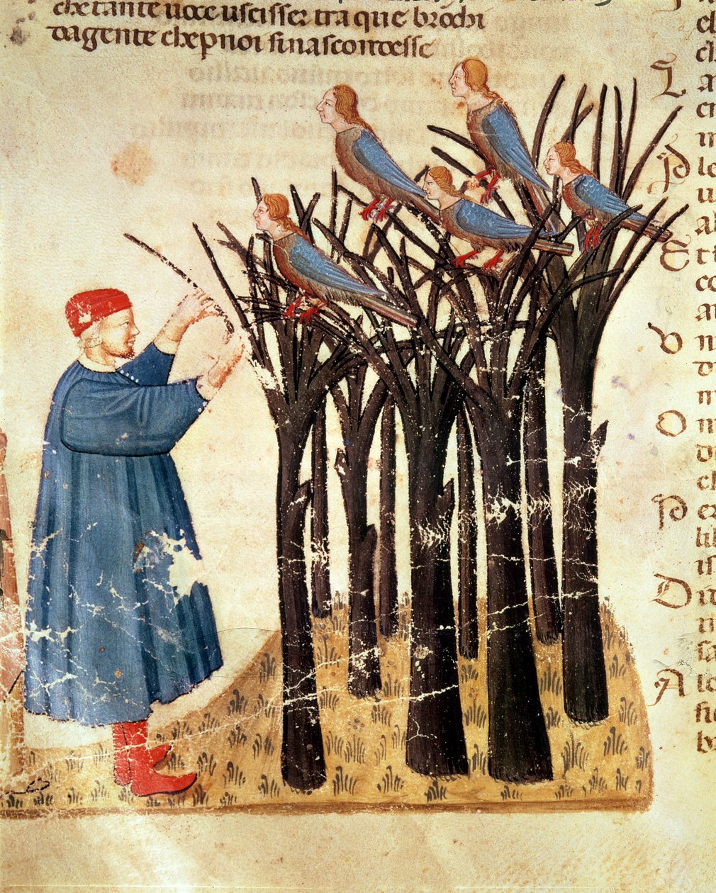 Dante og sjælene forvandlet til fugle, fra Den guddommelige komedie af Dante Alighieri (1265-1321) af Italian School