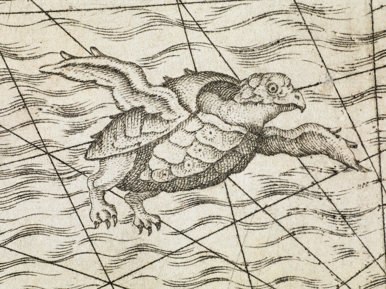 Detalje af en flyvende skildpadde på et kort over Nordeuropa, fra en nylig og nøjagtig beskrivelse af de nordlige regioner i Sverige, Gothia, Norge, Danmark og de tilstødende lande. M. Tramezinis formularer af Italian School