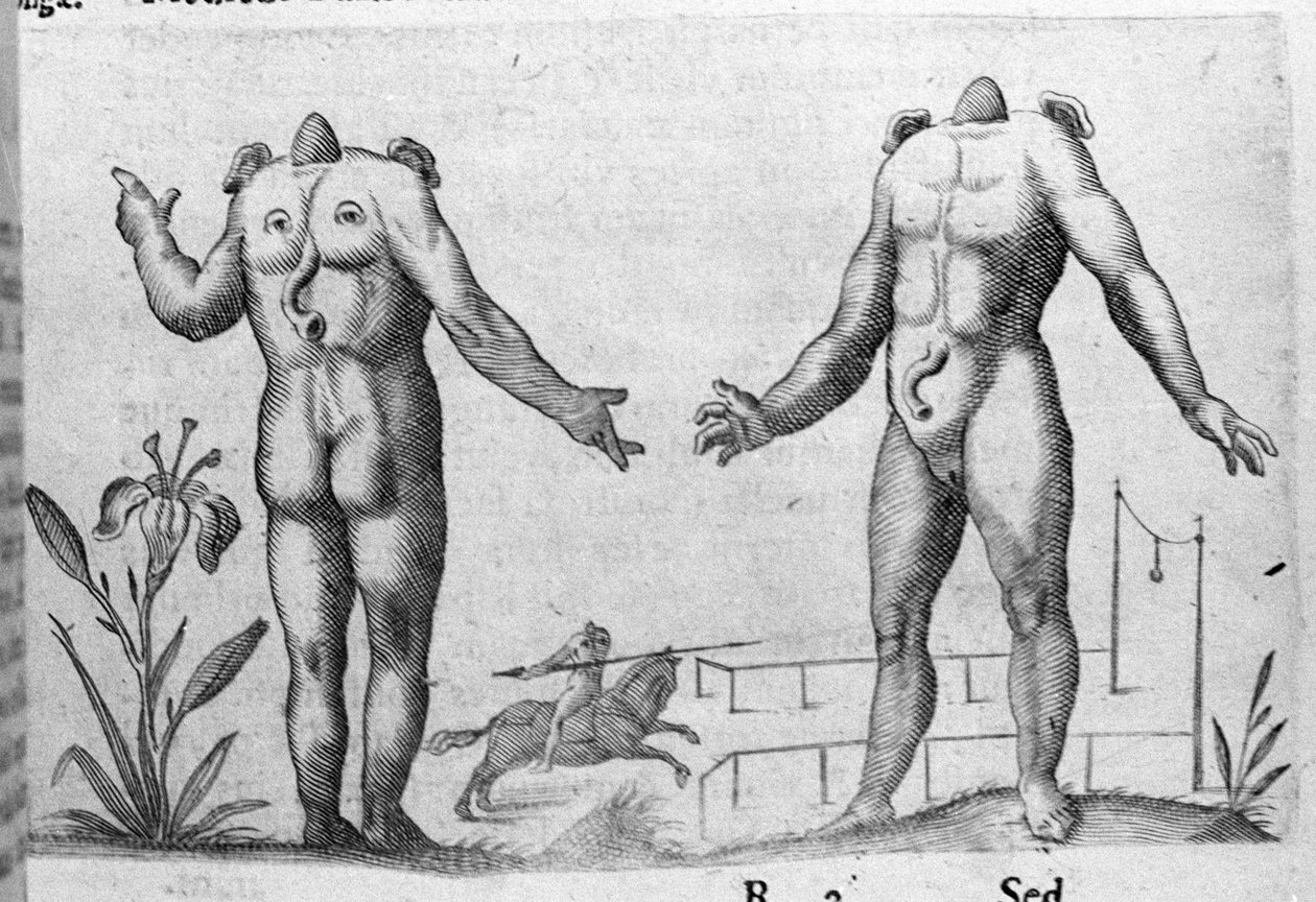 Forskellige typer menneskelige monstre: en mand uden hoved. Indgravering fra "Monstrenes natur, årsager og forskelle" af Fortunio Liceti (1577-1656), italiensk videnskabsmand. 1646 af Italian School