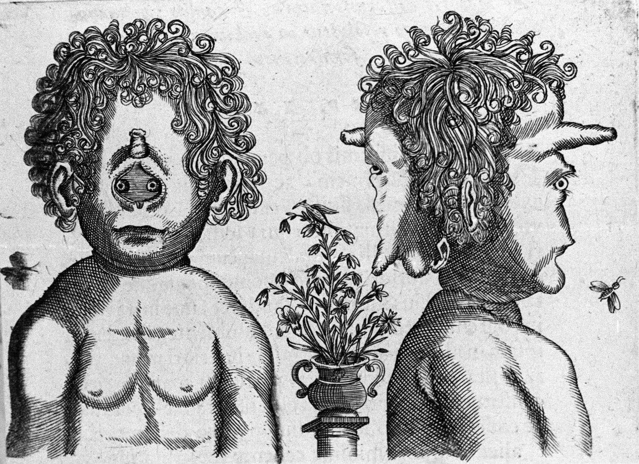 Forskellige typer menneskelige monstre: ansigt og ansigt af monsterhoved. Gravering fra "Monstrenes natur, årsager og forskelle" af Fortunio Liceti (1577-1656), italiensk videnskabsmand. 1646 af Italian School
