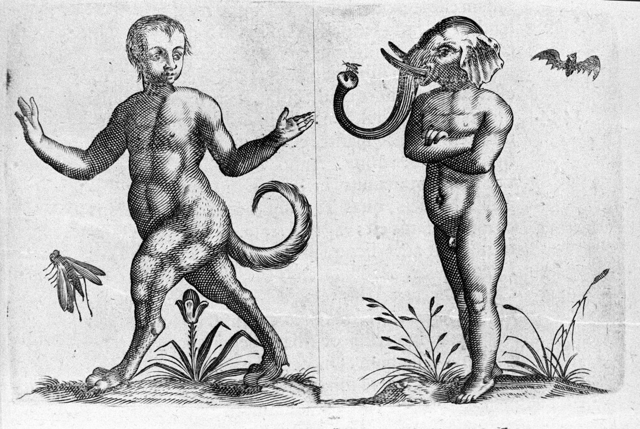 Forskellige typer menneskelige monstre: en mand med dyreben og en anden med elefanthoved. Gravering fra "Monstrenes natur, deres årsager og forskelle" af Fortunio Selvomi (1577-1656), italiensk videnskabsmand. 1646 af Italian School