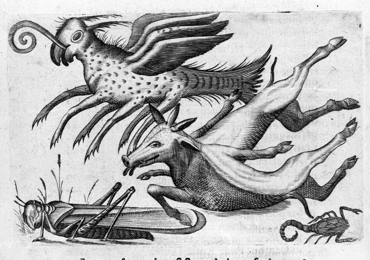 Forskellige typer monstrøse dyr. Gravering fra "Monstrenes natur, deres årsager og forskelle" af Fortunio Selvomi (1577-1656), italiensk videnskabsmand. 1646 af Italian School