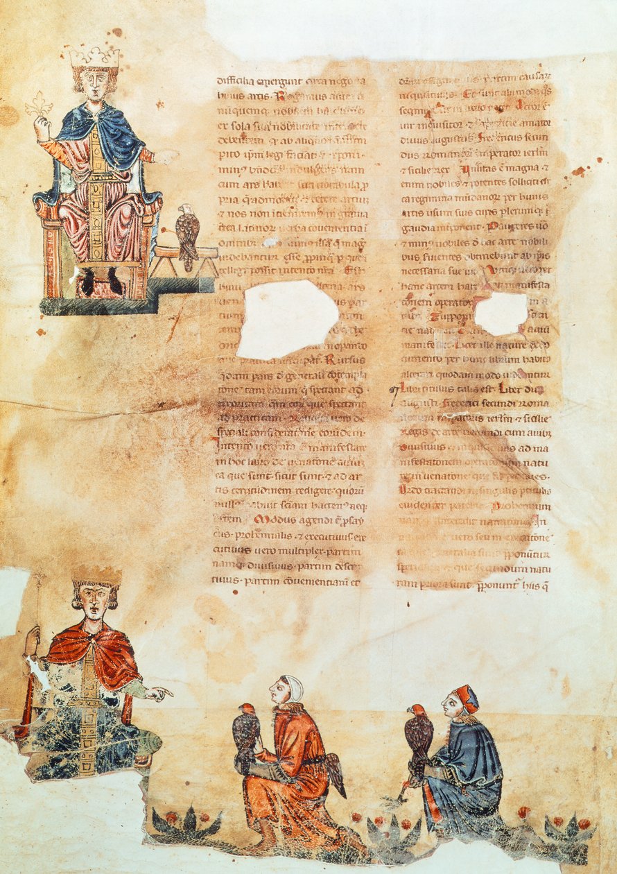 Kejser Frederik II af Hohenstaufend, illustration fra 