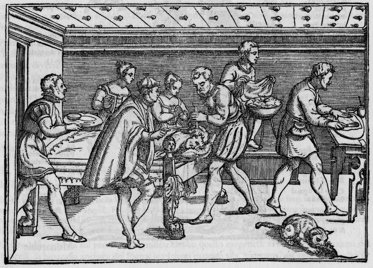 Indgravering af 1574 i "" Della Cirurgia "" "(Om kirurgi) af Giovanni Andrea dalla Croce italiensk kirurg. af Italian School
