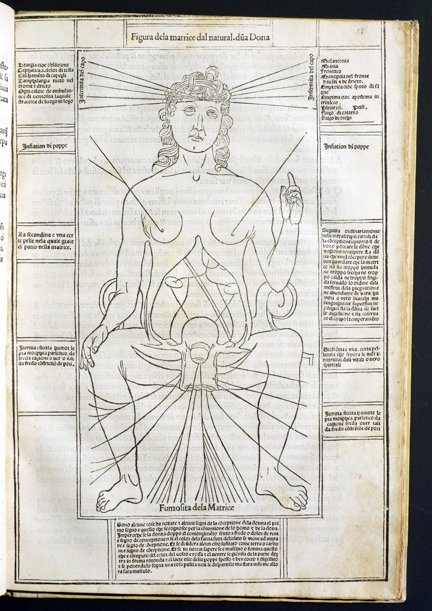Kvindelig anatomi fra Fasciculus Medicinae af Johannes de Ketham (d.c.1490) c.1507 af Italian School