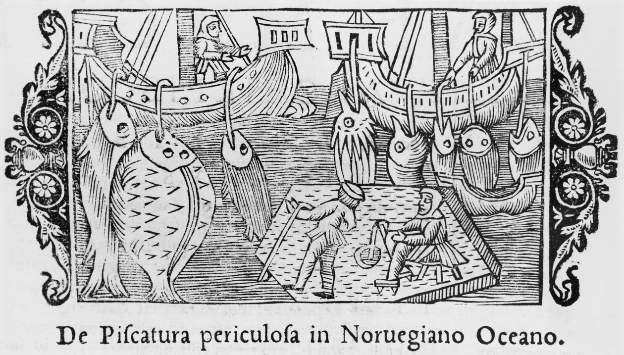Fiskeri i det norske hav, illustration fra History of the Northern Nations af Olaus Magnus (1490-1558), udgivet i Rom, 1555 af Italian School