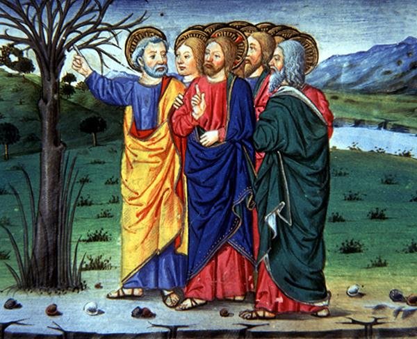 Fol.63r Peter påpeger for Kristus et udtørret træ (vellum) af Italian School