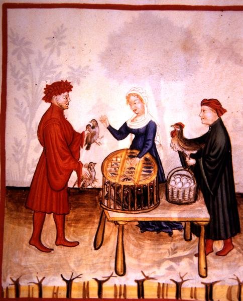 Fol.67r Salget af unge duer, illustration fra 