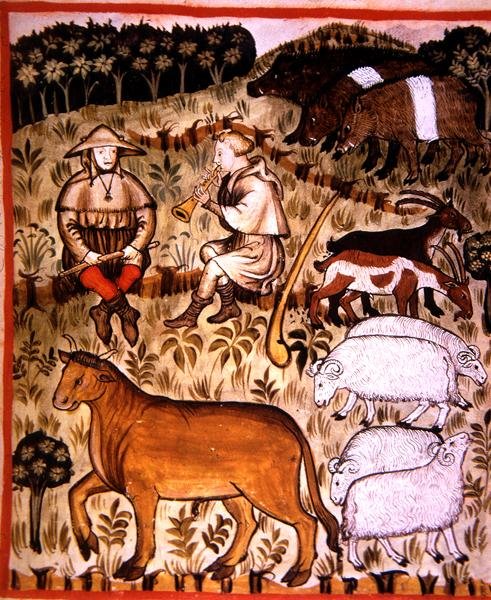 Fol.71r kastrerede dyr, illustration fra 