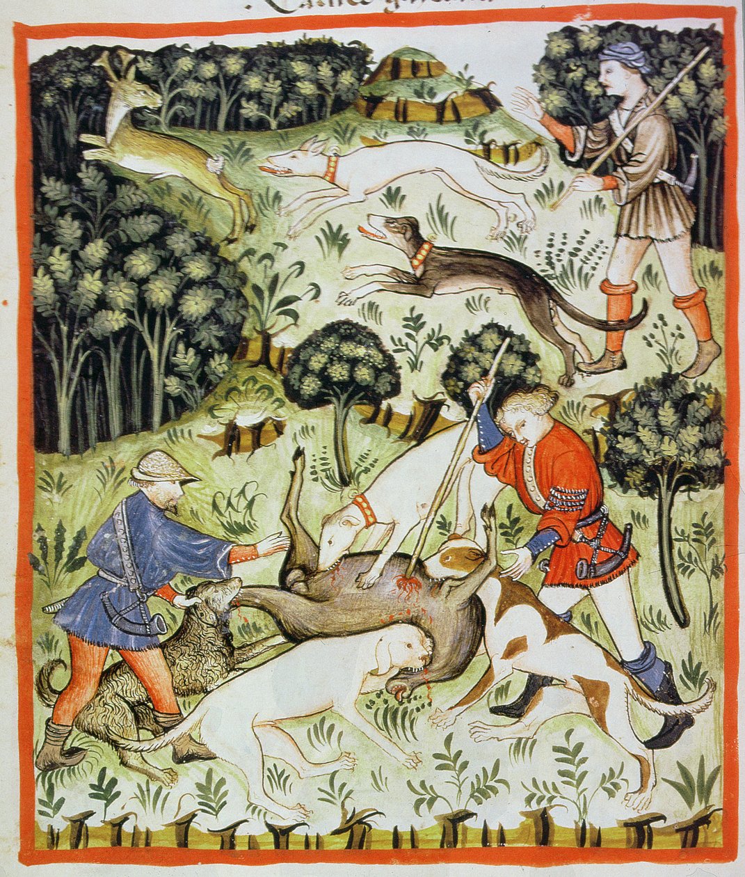 Fol.71v Jagtgazelle, illustration fra Tacuinum Santiatis Codex Vindobonensis af Italian School