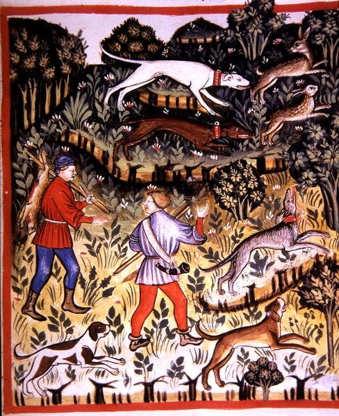 Fol.72r Jagthare, illustration fra 