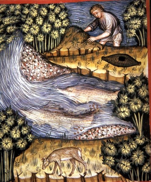 Fol.84v Amber, illustration fra 