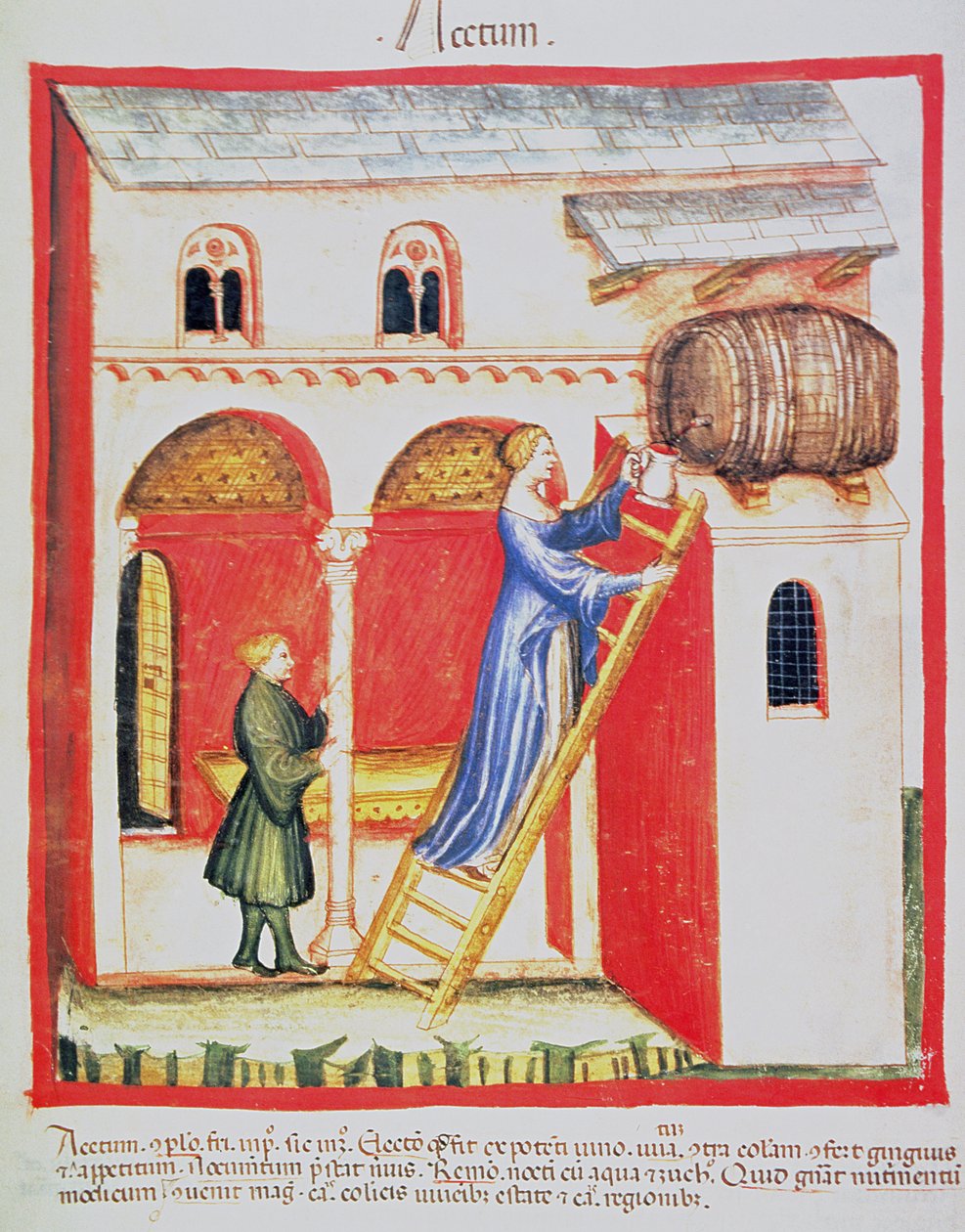 Fol.85v Eddike, illustration fra Tacuinum Santiatis Codex Vindobonensis af Italian School
