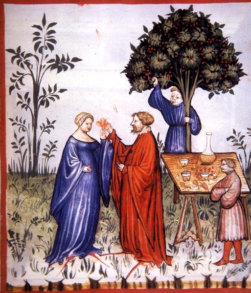 Fol.86r hvidvin, illustration fra 