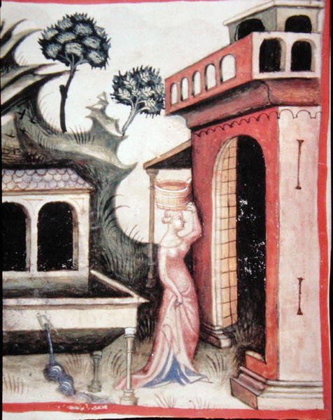 Fol.88v Kildevand, illustration fra 