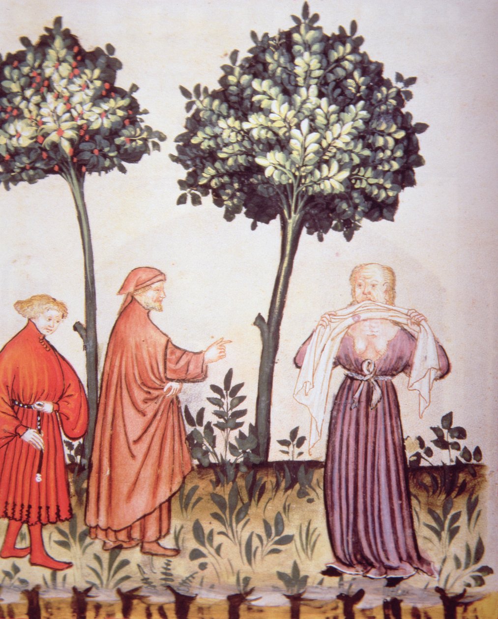 Fol.98v Kolera, illustration fra Tacuinum Santiatis Codex Vindobonensis af Italian School
