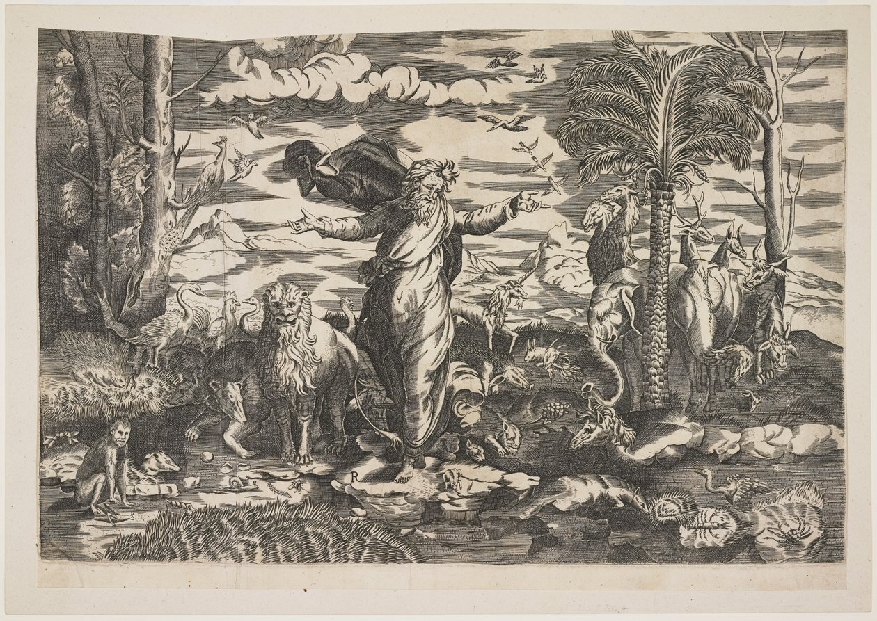 Gud skaber dyrene, ca. 1550 af Italian School