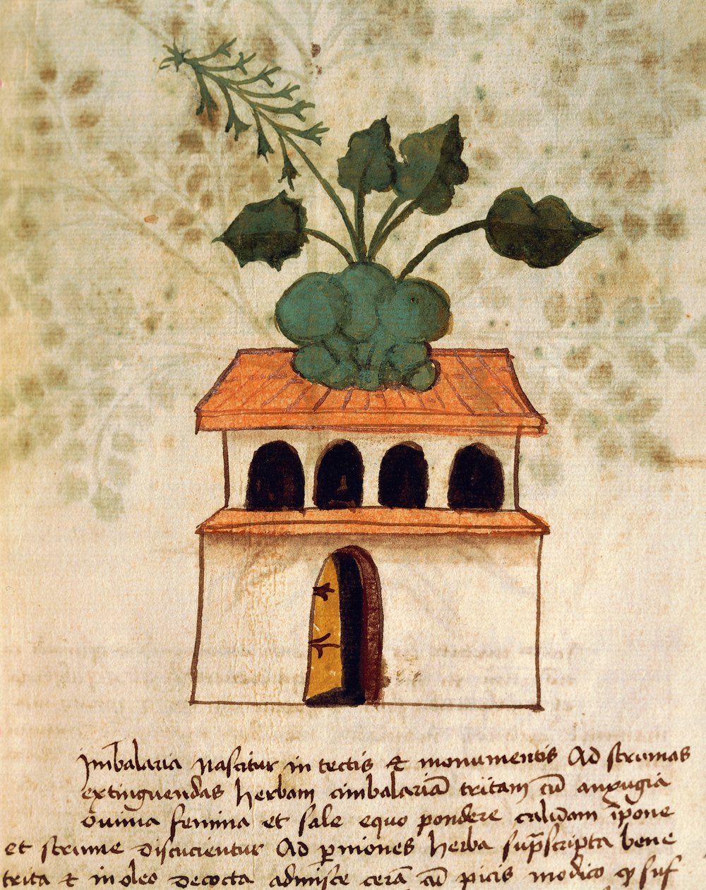 Hængende have af Italian School