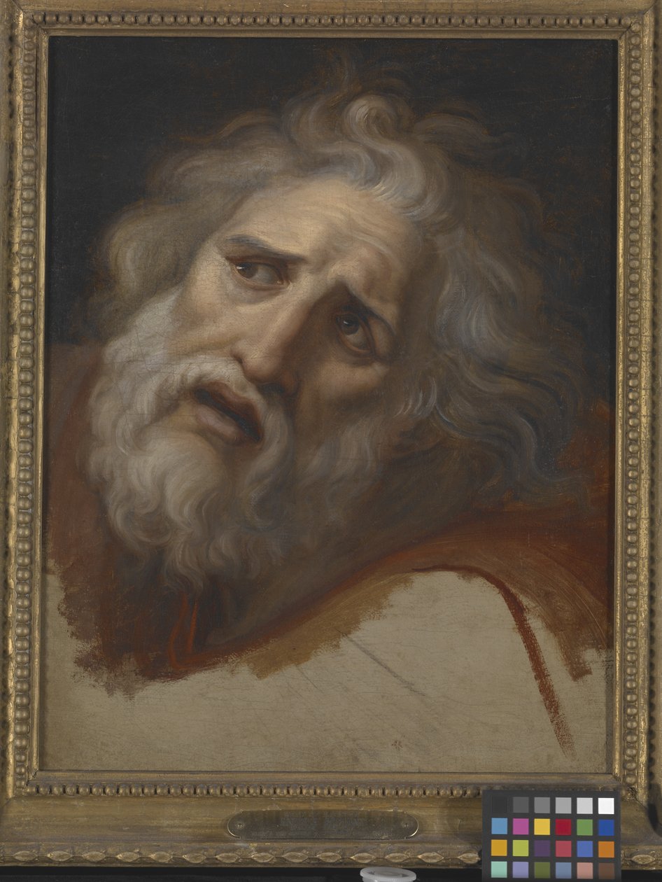 Head Of Laocoon (olie på lærred) af Italian School