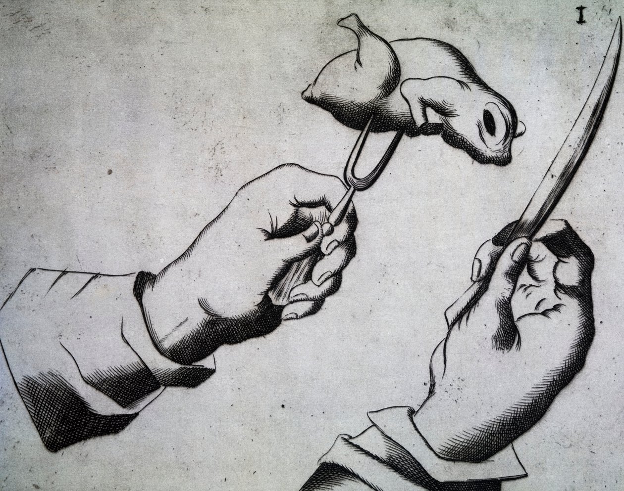Hvordan man hugger fugl, Illustration fra The Three Treatices of Messer Bayerske Mattia Giegher, Shredder of the Most Illustrious German Nation i Padua, Italien af Italian School