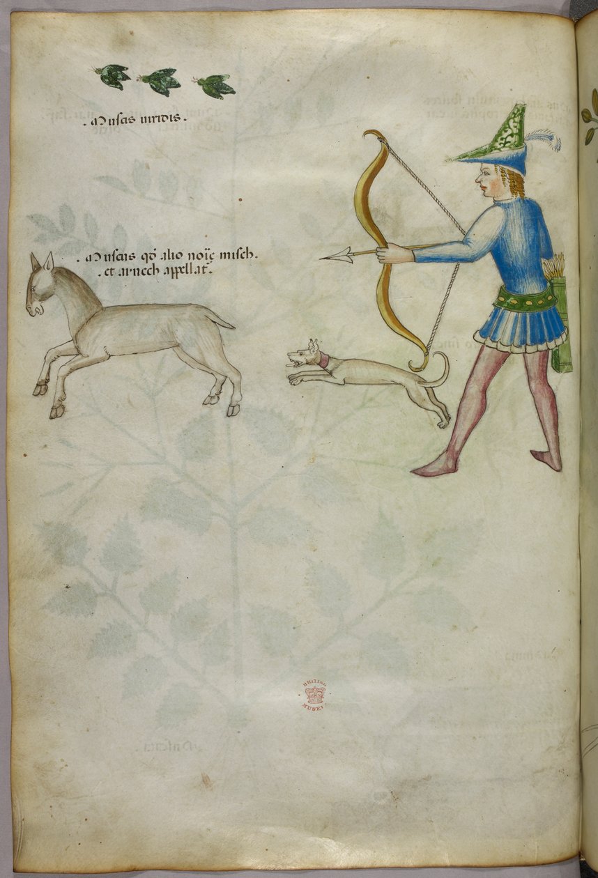 Illustration af en mand med bue, der skyder mod et dyr, med en hund og fugle over, ca. 1440 (blæk og farve på pergament) af Italian School