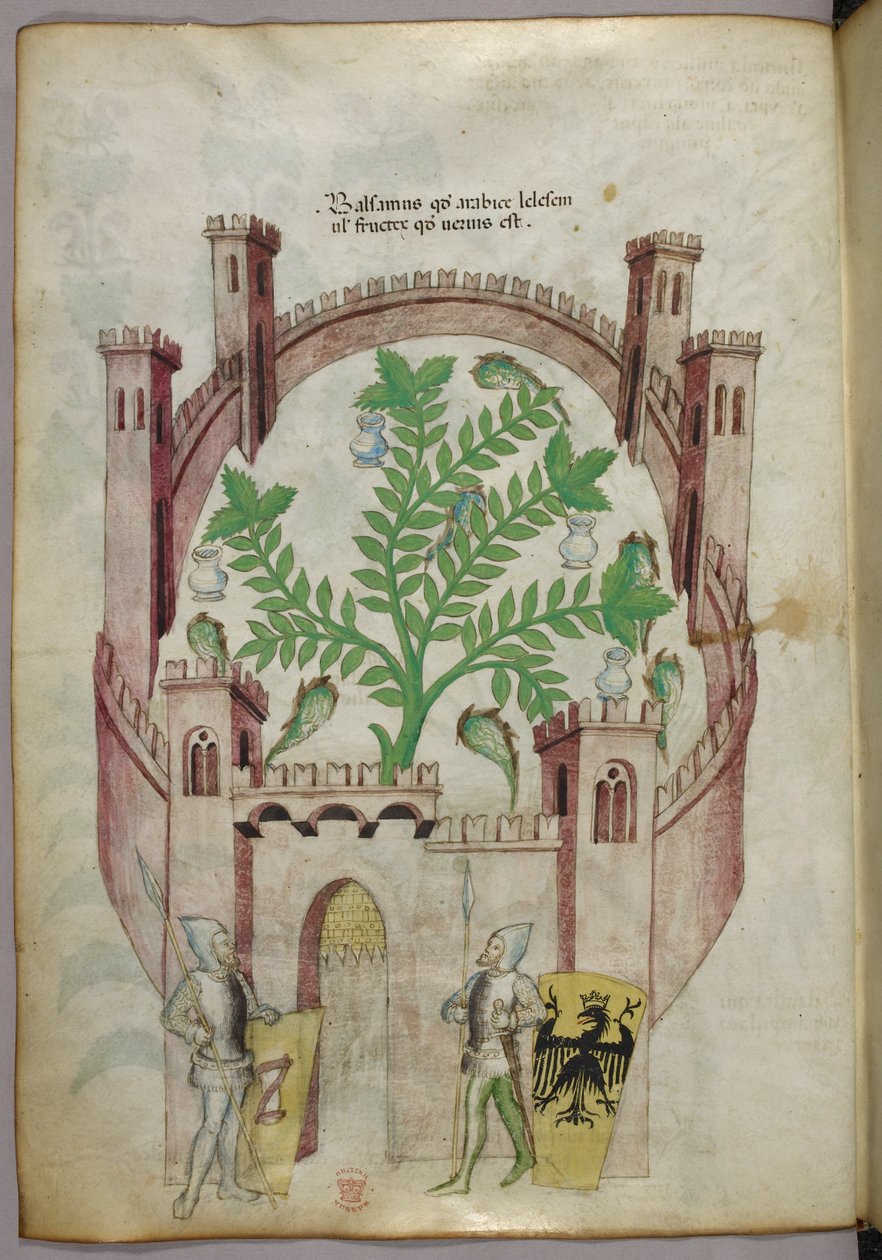 Illustration af balsamhaven i Cairo (Fustat) med syv vandbassiner og krukker til opsamling af balsam, en plante i midten, med to riddere i rustning, der flankerer porten, med skjolde med heraldiske våben, ca. 1440 (blæk og farve på pergament) af Italian School