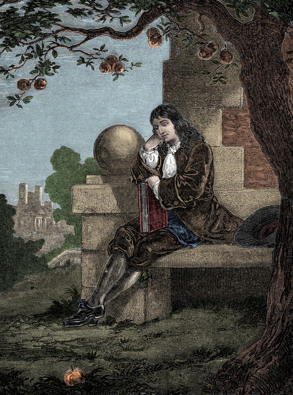 Isaac Newton ser et æble falde til jorden, mens han sidder under et træ af Italian School