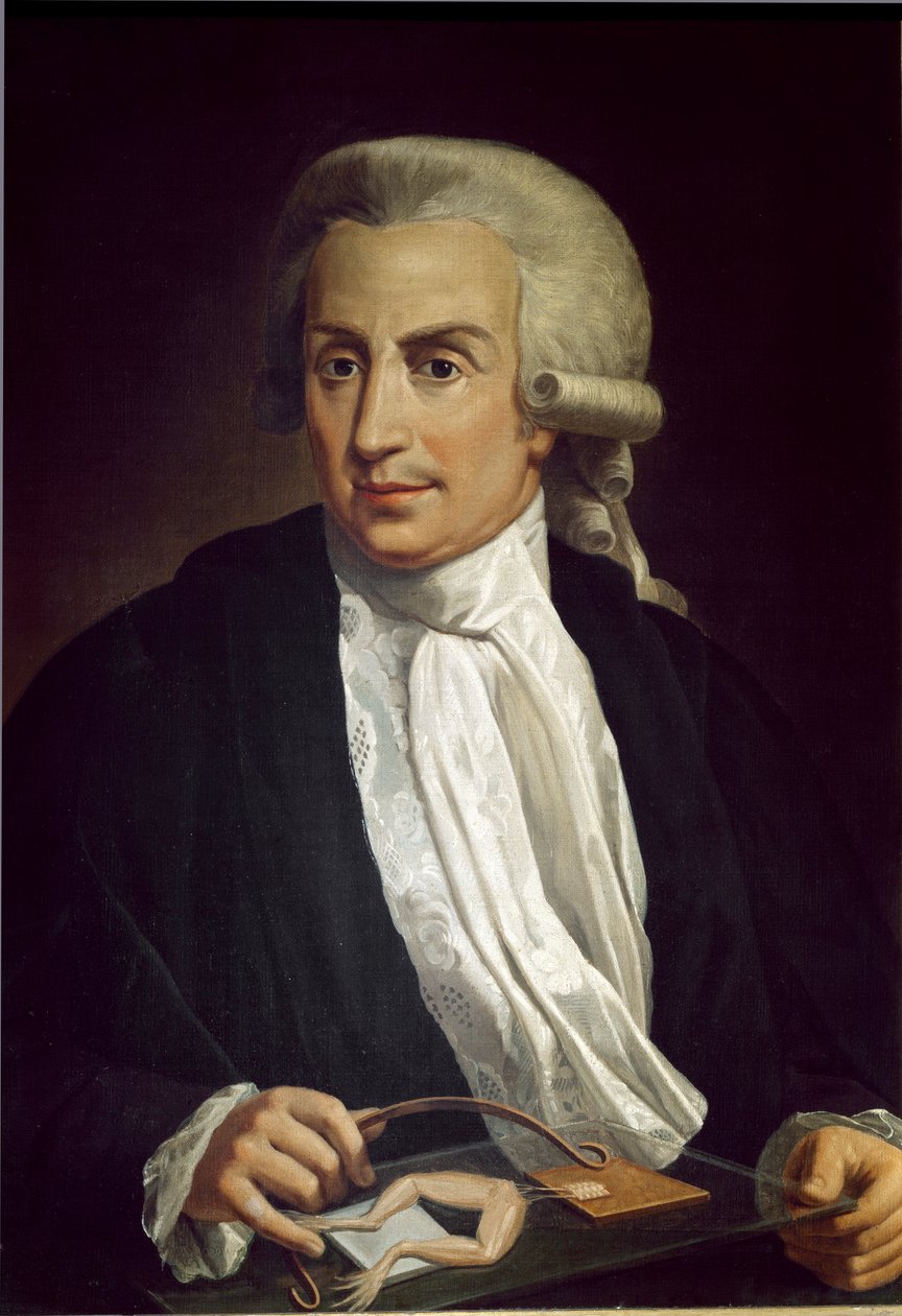Luigi Galvani med frøeksemplar af Italian School