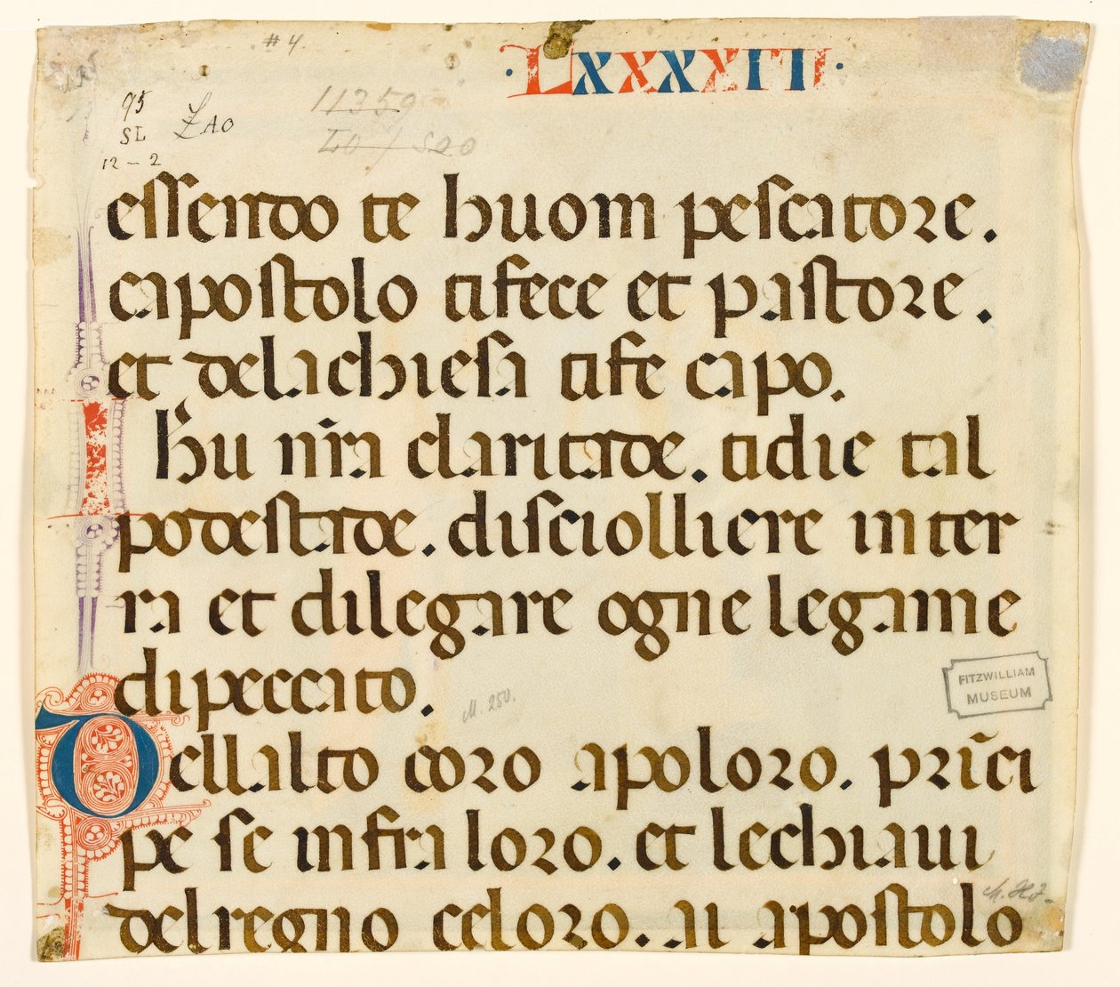 MS McClean folio 201.4 mod Lauda for St. Peter af Italian School