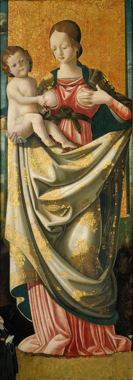 Madonna del Suffragio, ca. 1520 (tempera på hårdttræspanel) af Italian School