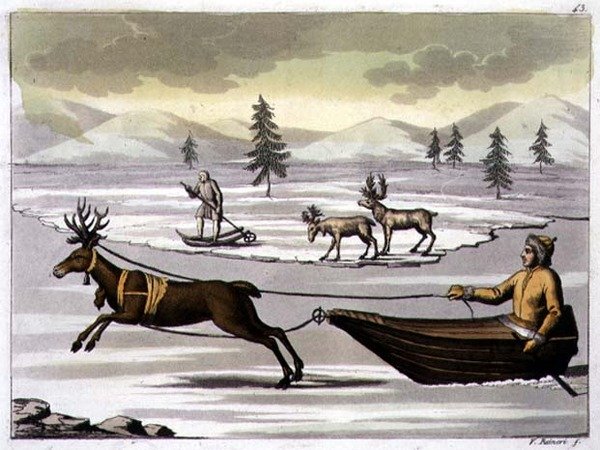 Han- og hunrensdyr og en Laplander på sin slæde trukket af et rensdyr, plade 43 fra 
