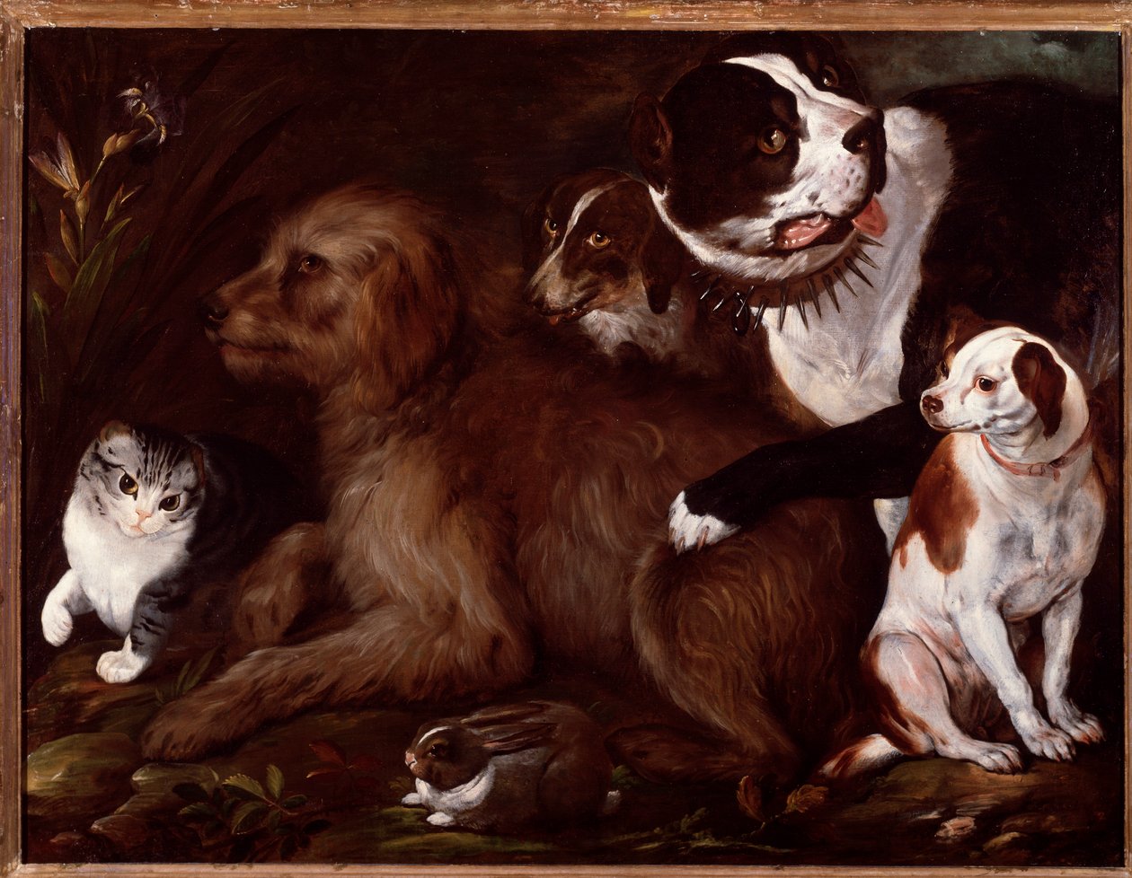 Medici-hunde, med en kat og en kanin fra den italienske skole af Italian School