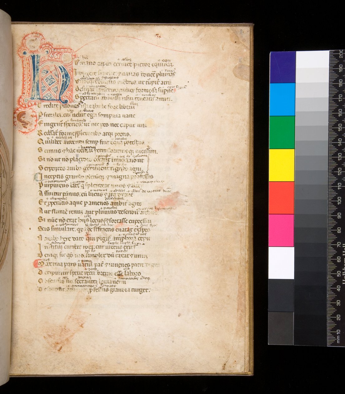 Ms 315. Horace, Ars Poetica og Epistulae, f.1r. Dekoreret initial [N] i blå og rød blefyldning og omgivende penneværk i rødt af Italian School