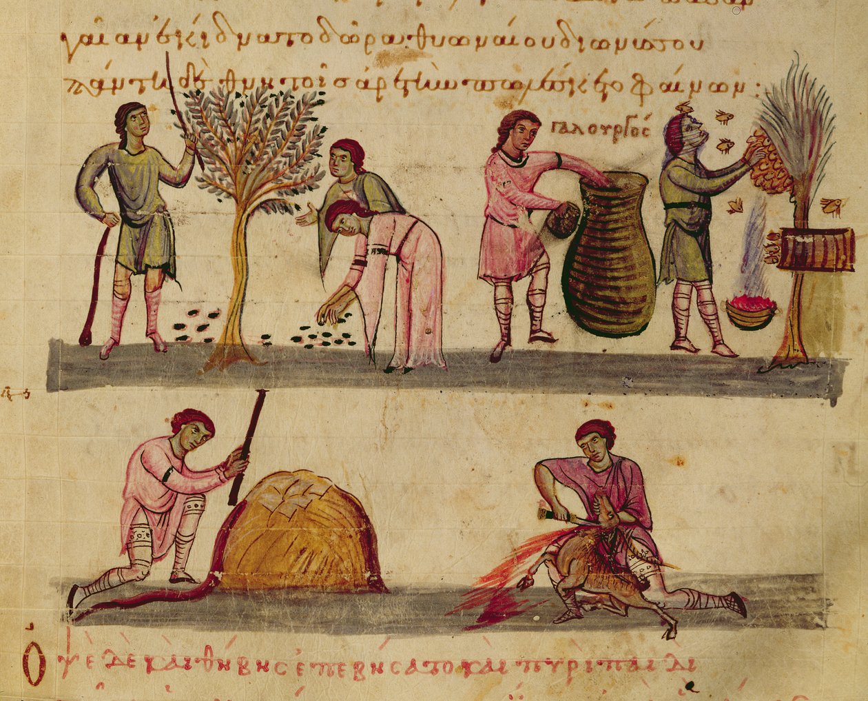 Ms Grec 479 Arbejder i markerne, illustration fra Cynegetica af Oppian (tempera på vellum) af Italian School