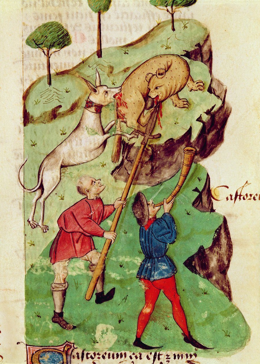 Ms Lat 993 fol.35r Jagten, fra 