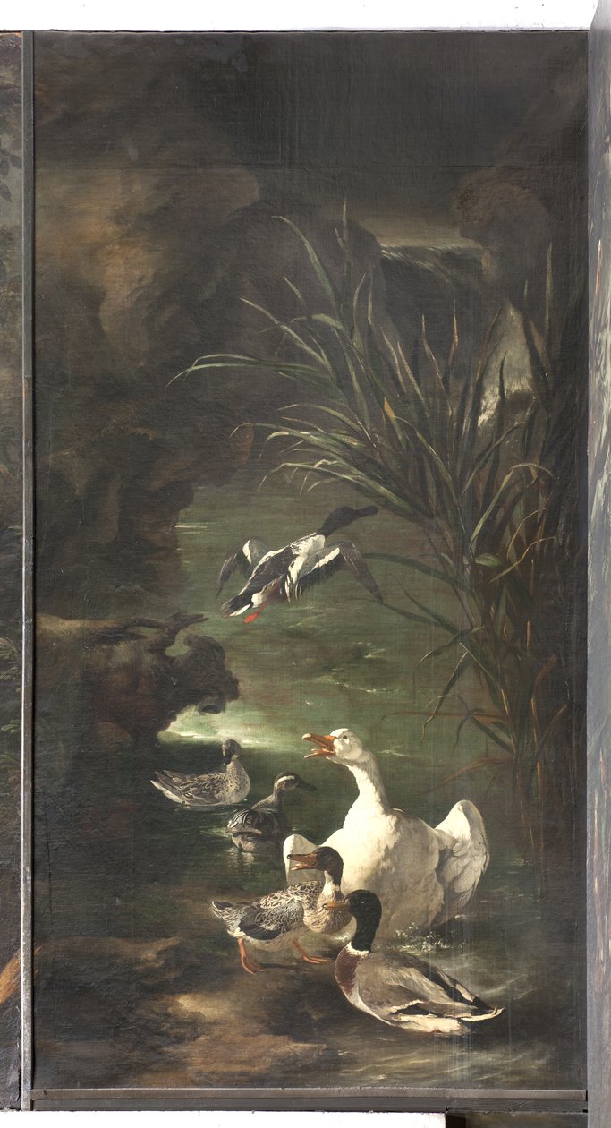 Myten om Orfeus: svane og ænder, ca. 1650-60 af Italian School