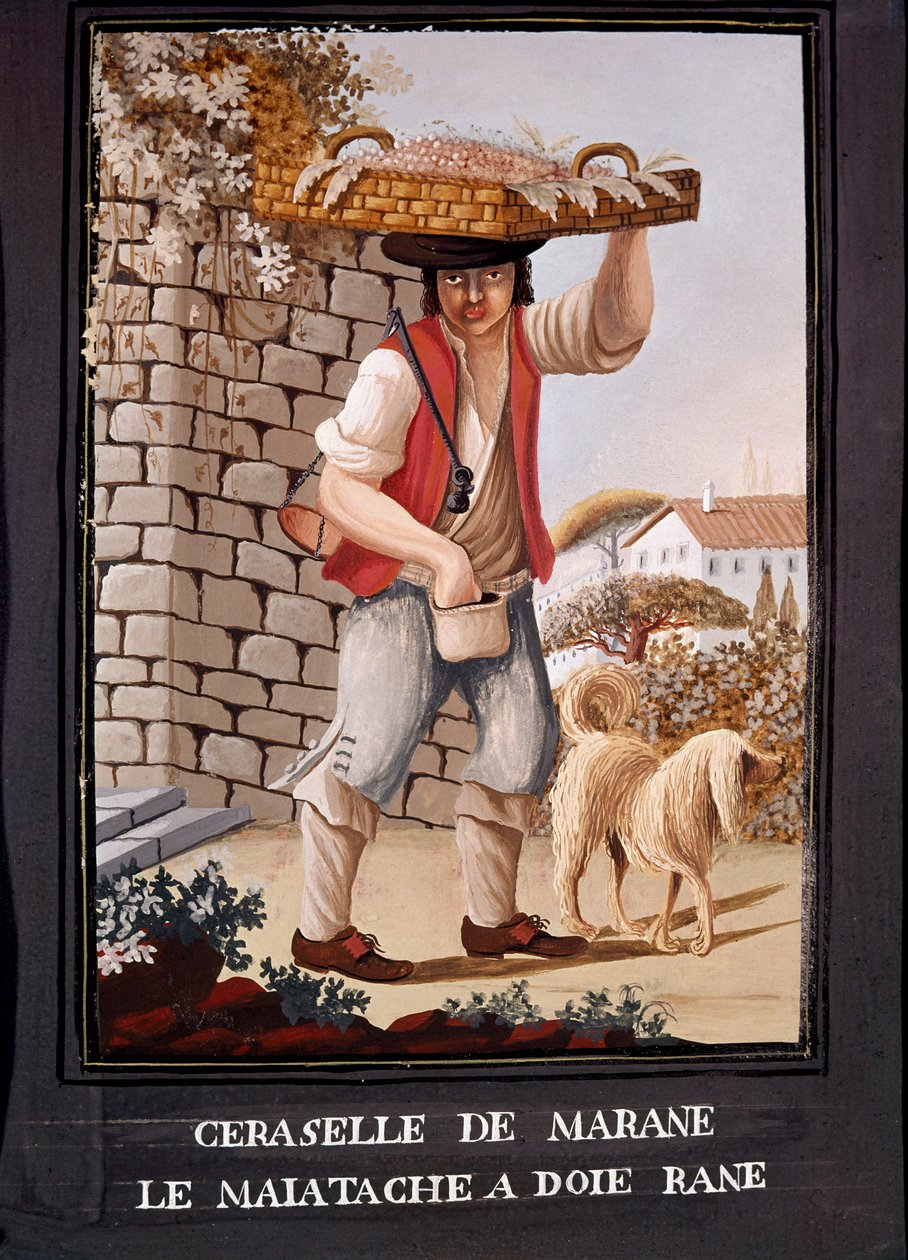 Napolitanske metiers: sælgeren af kirsebær fra Marasca - (Gammel handel: marasca-kirsebærsælgeren) Akvarel fra det 19. århundrede - Napoli Museo Nazionale di San Martino af Italian School