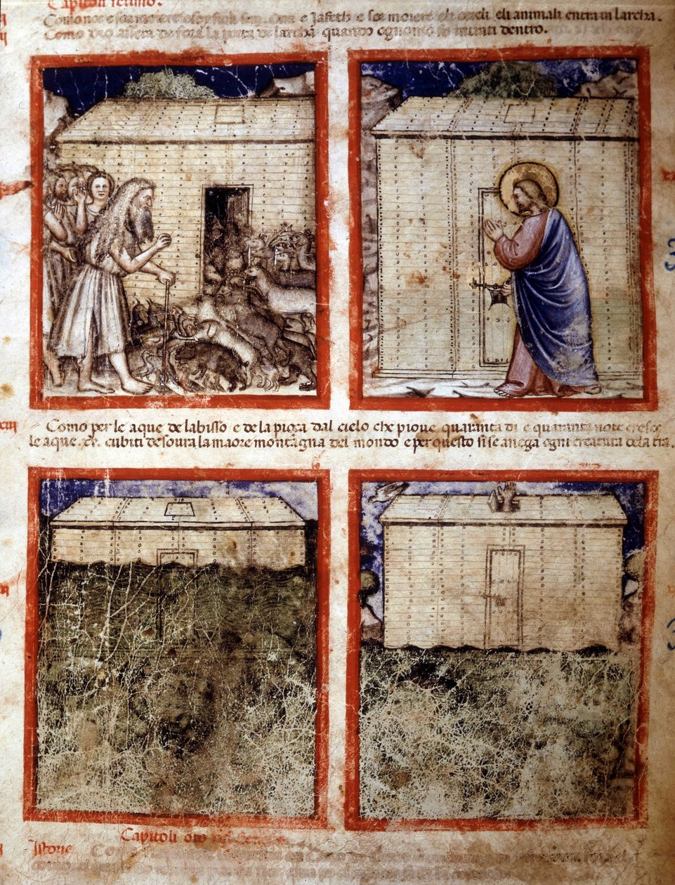 Noahs Ark, miniature taget fra codex 212 (eller Padovano Codice eller Bible of Padua) 1390-1400 Rovigo, Accademia dei Concordi af Italian School
