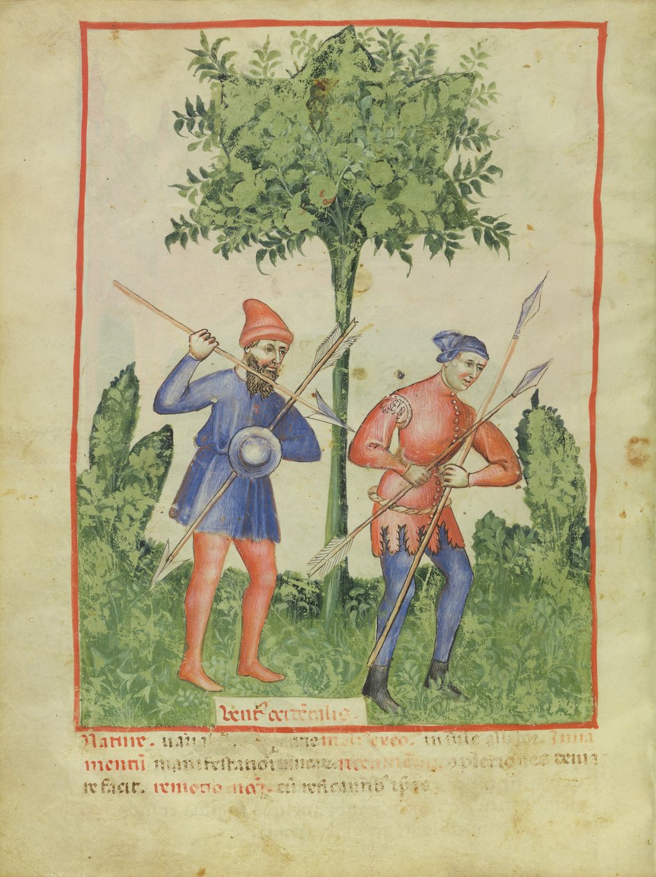 Nouv Acq Lat 1673 fol.100v The West Wind, fra Tacuinum Sanitatis, ca. 1390-1400 af Italian School