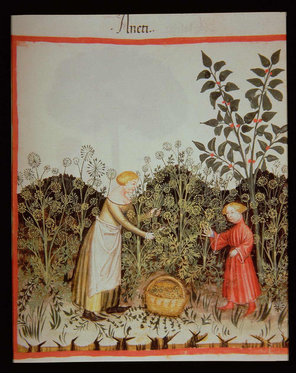 Nova 2644 f.32r Samler Dild af Italian School