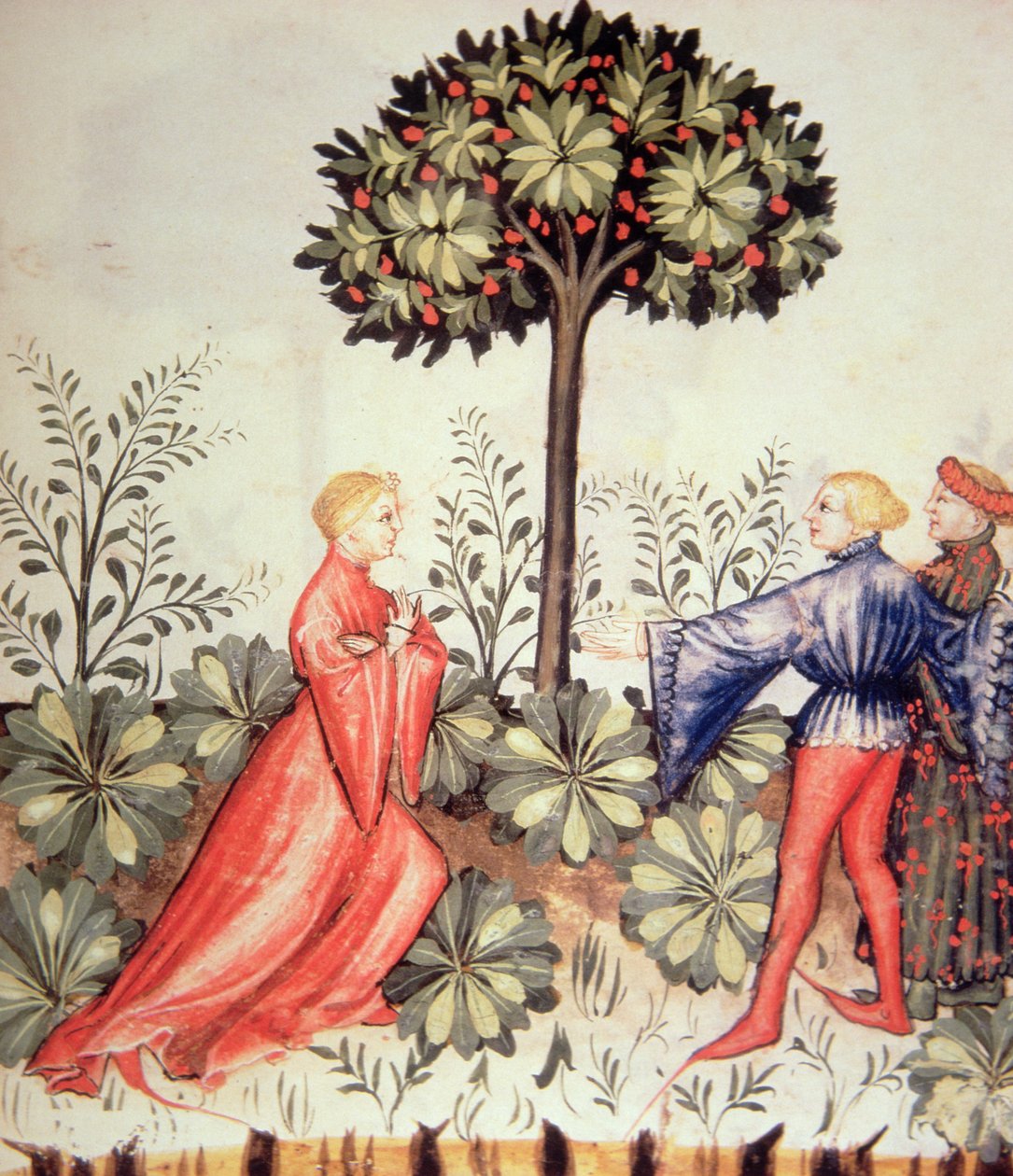 Nova 2644 fol.24r Harvesting Sennep, fra Tacuinum Sanitatis af Italian School