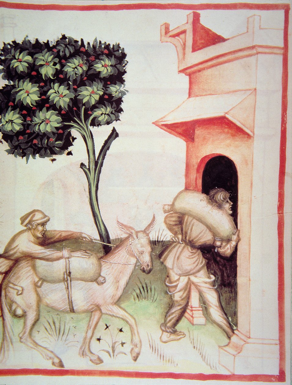 Nova 2644 fol.91v Olivenolie: transport af oliven, fra Tacuinum Sanitatis af Italian School