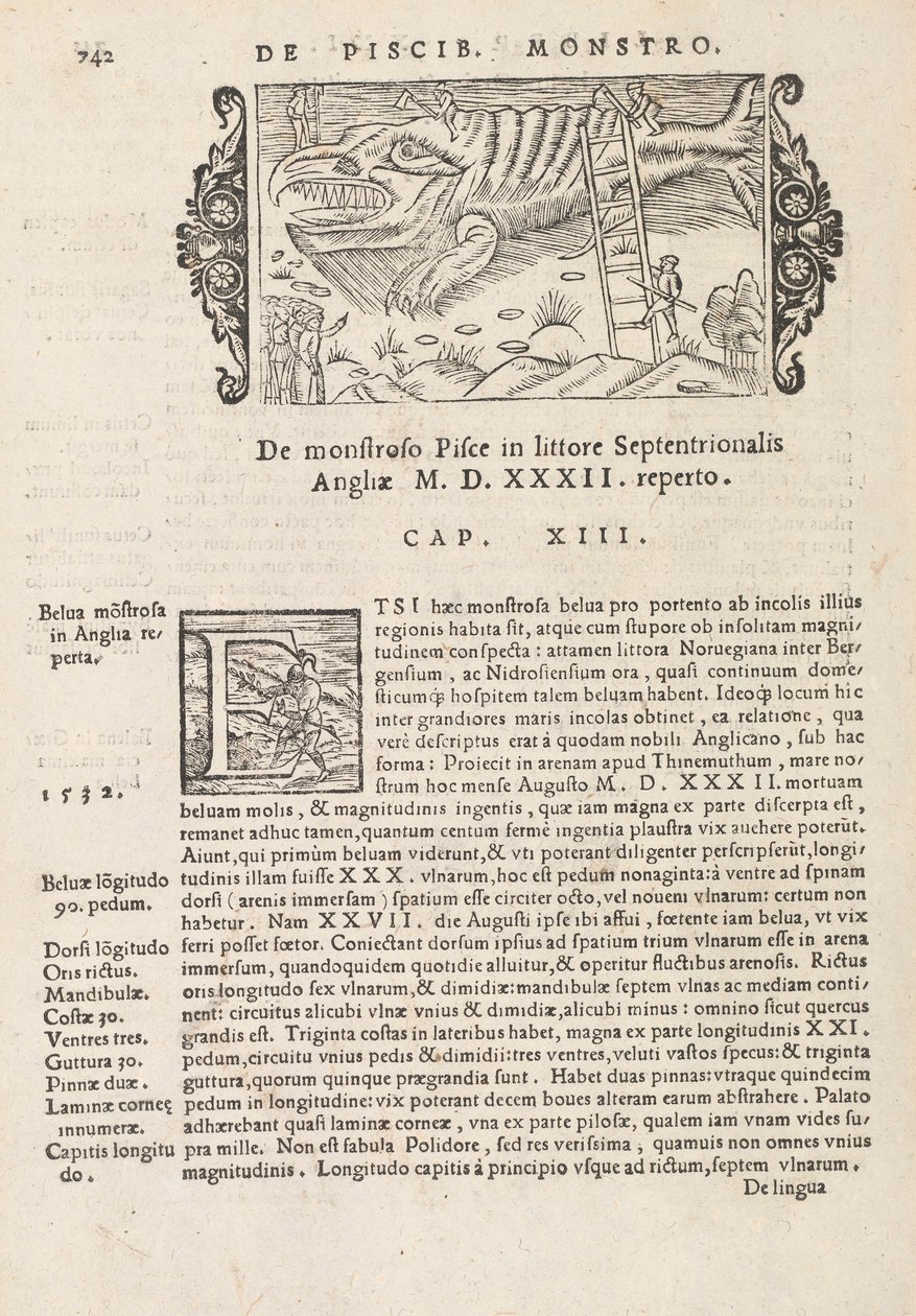 Side 742 fra History of the Northern Gentivus af Magnus Olaus, Rom 1565 (tryk og gravering) af Italian School