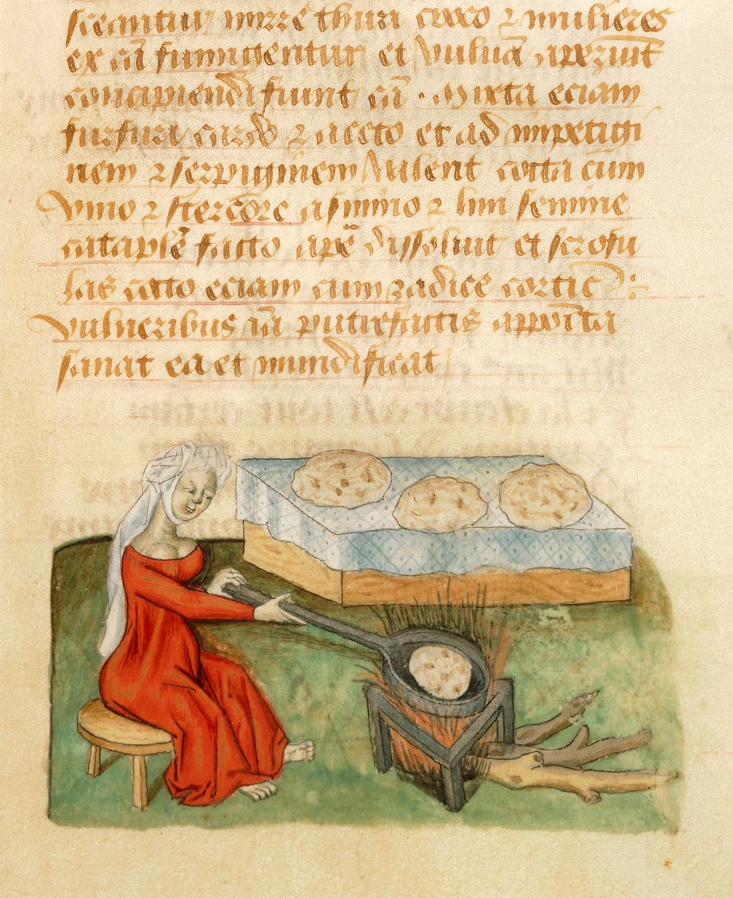 Side fra Tractatus de Herbis af Dioscorides Pedanius af Italian School