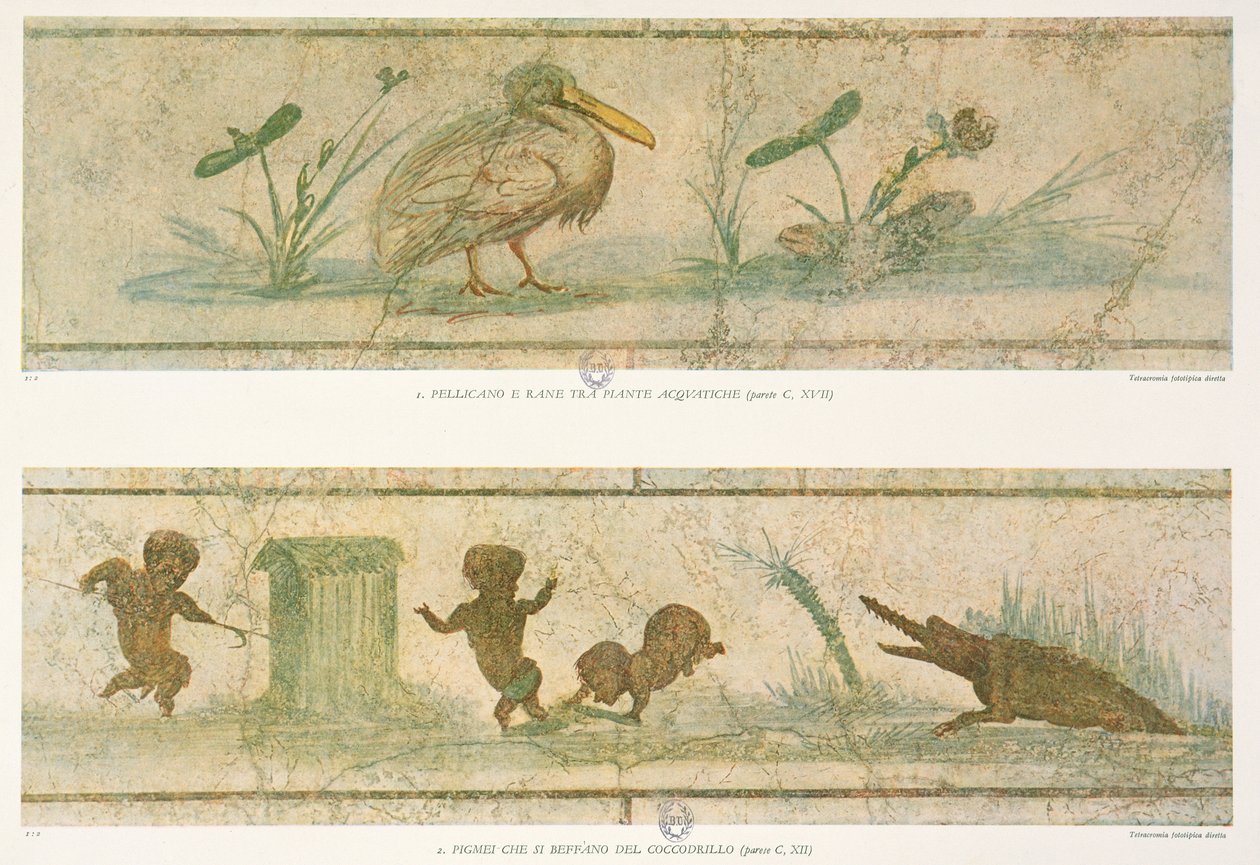 Pelikaner, vandplanter og pygmæer, der flygter foran en krokodille, efter de originale fresker, fra Images du Colombier de la Villa Pamphilj af G. Bendinelli, 1941 af Italian School